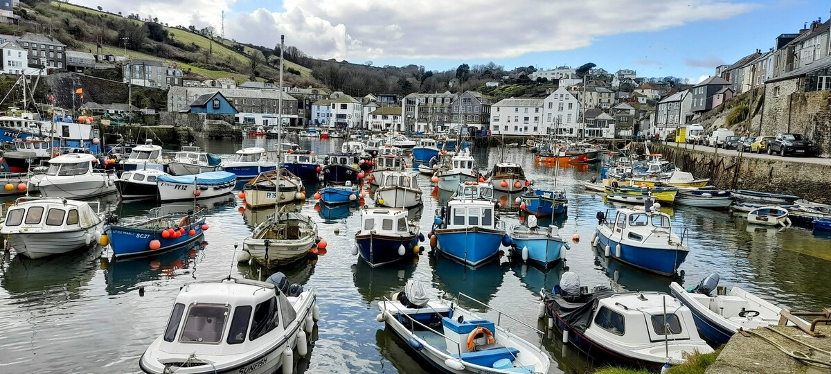 Harbour View